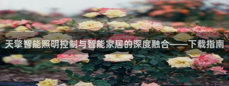 云顶国际在哪里