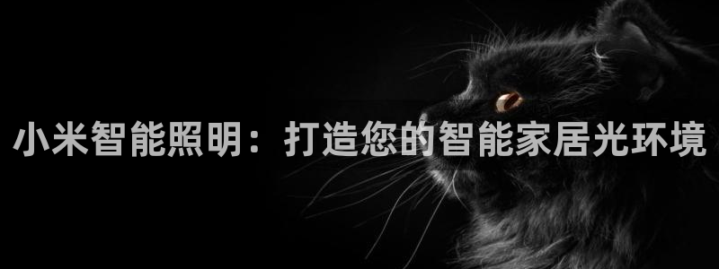 云顶小学国际班学费