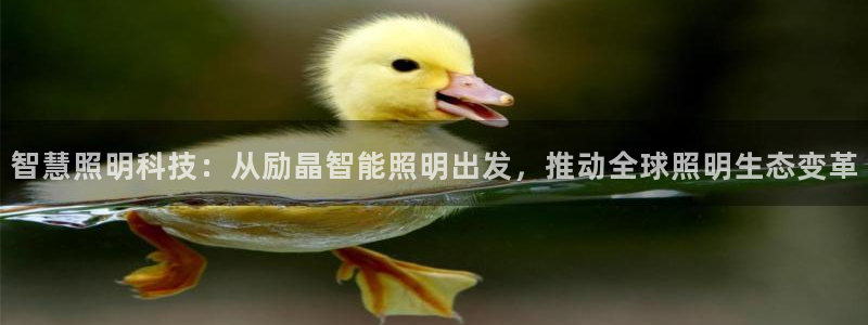 淮北云顶国际会所