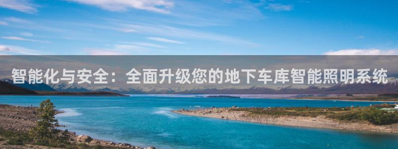 云顶国际是做什么的公司