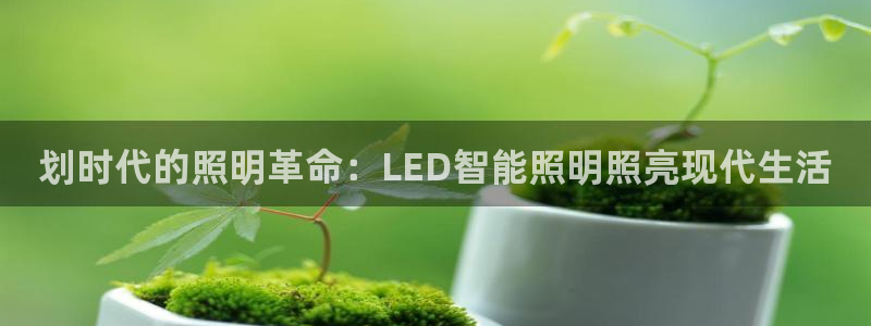 云顶国际app是什么