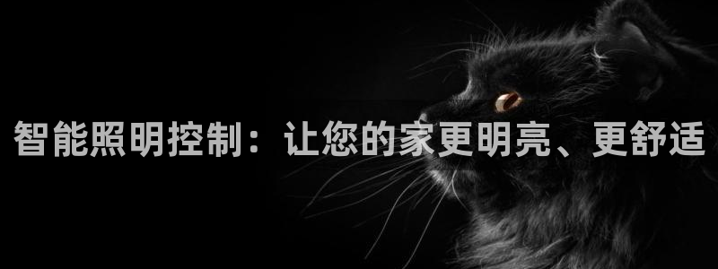 云顶集团网站多少钱一个