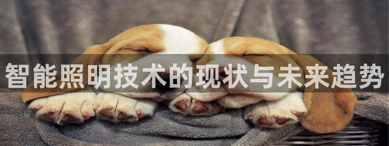 云顶国际游戏平台app