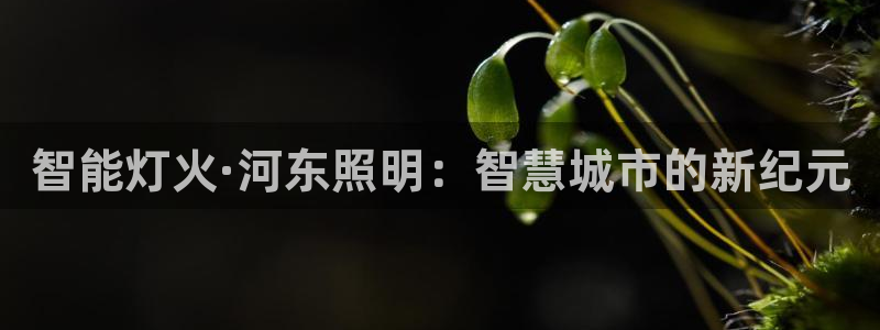 云顶国际大厦地址