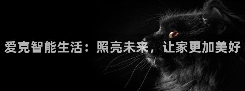 云顶国际足球app下载