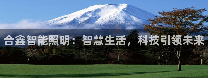 云顶国际二手房出售