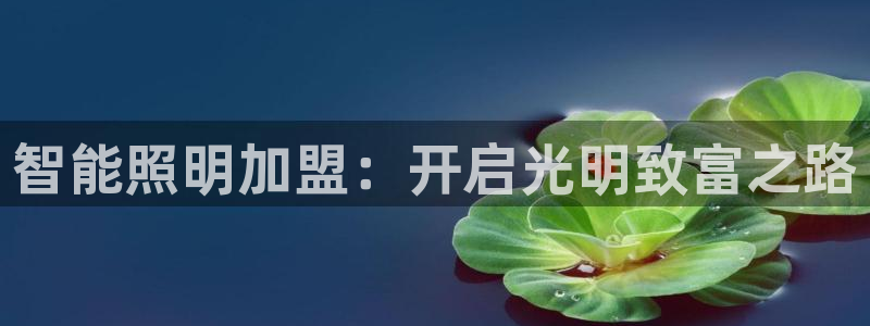 云顶国际集团游戏官网