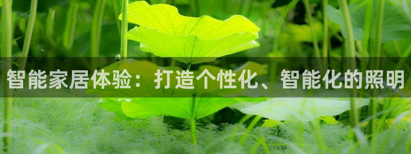 云顶国际集团游戏app